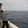 Thumb_img_1898