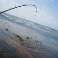 Thumb_img_1198-1